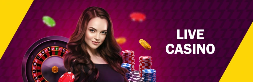 Live Casino Live Casino